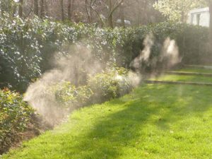 mosquito treatment for your yard