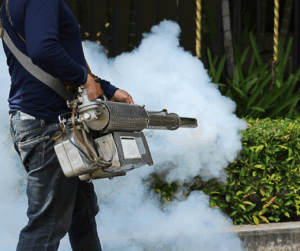 mosquito fogging