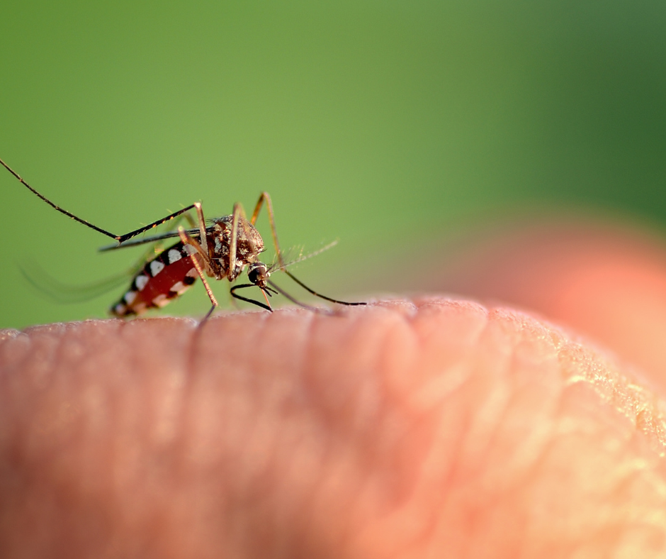 Learn how MistAway® Mosquito Systems work for controlling your yard's mosquito population.